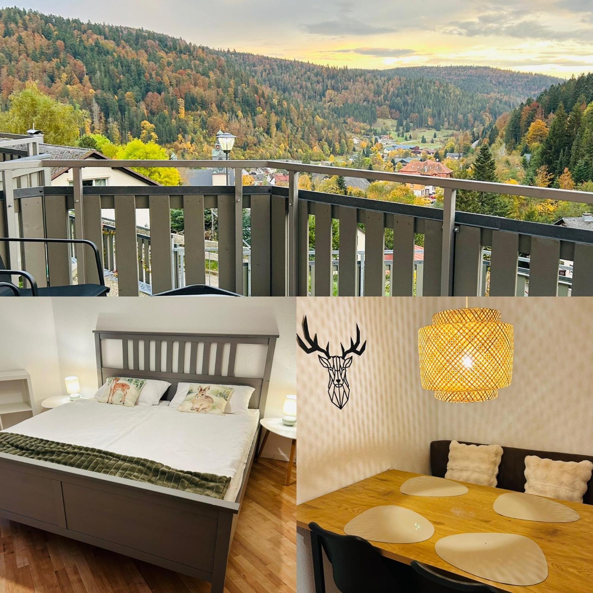 Ferienwohnung Panoramablick - Super Fuer Deine Familie Und Die Besten Aussicht In Ganz Todtmoos Luaran gambar