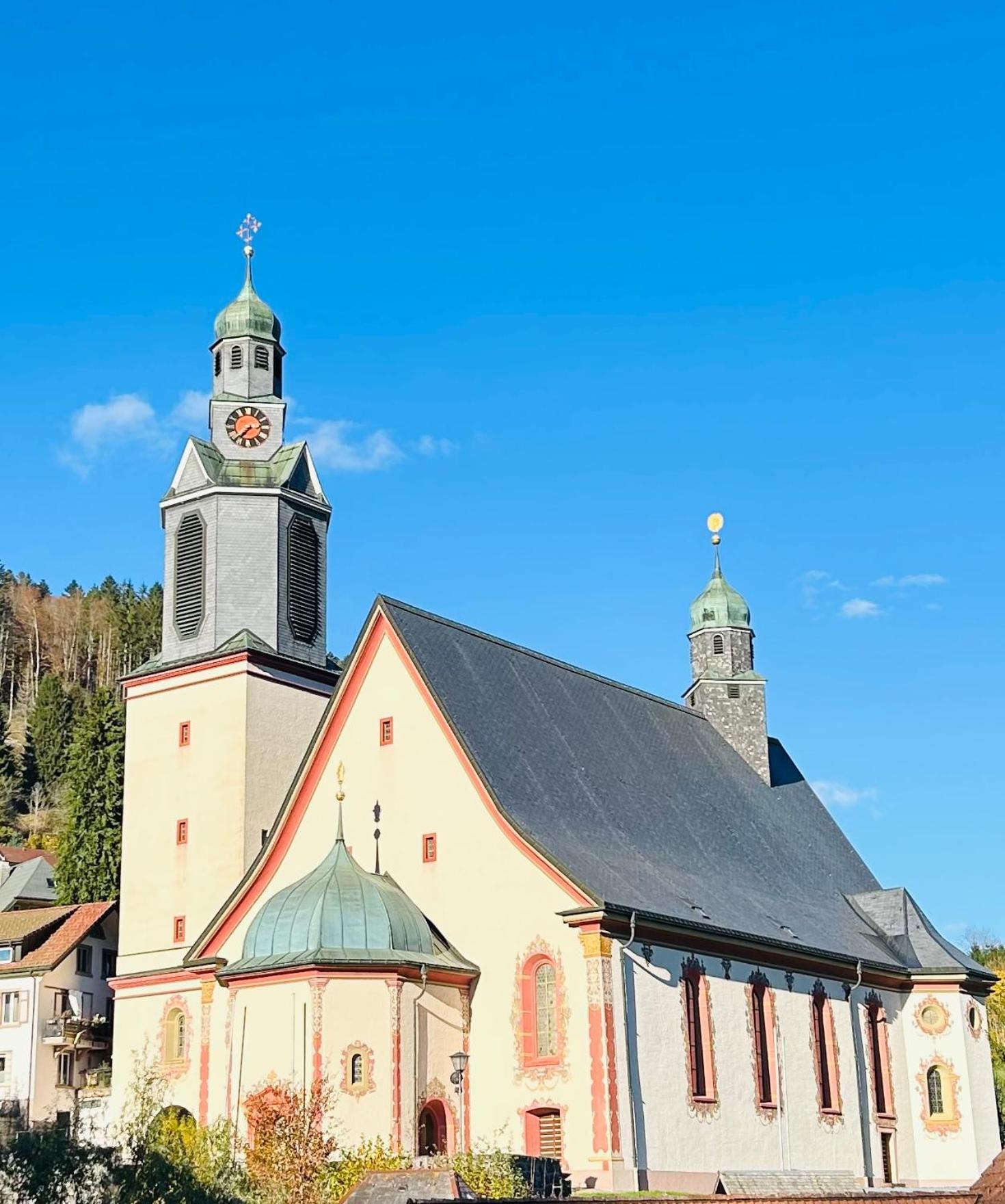 Ferienwohnung Panoramablick - Super Fuer Deine Familie Und Die Besten Aussicht In Ganz Todtmoos Luaran gambar