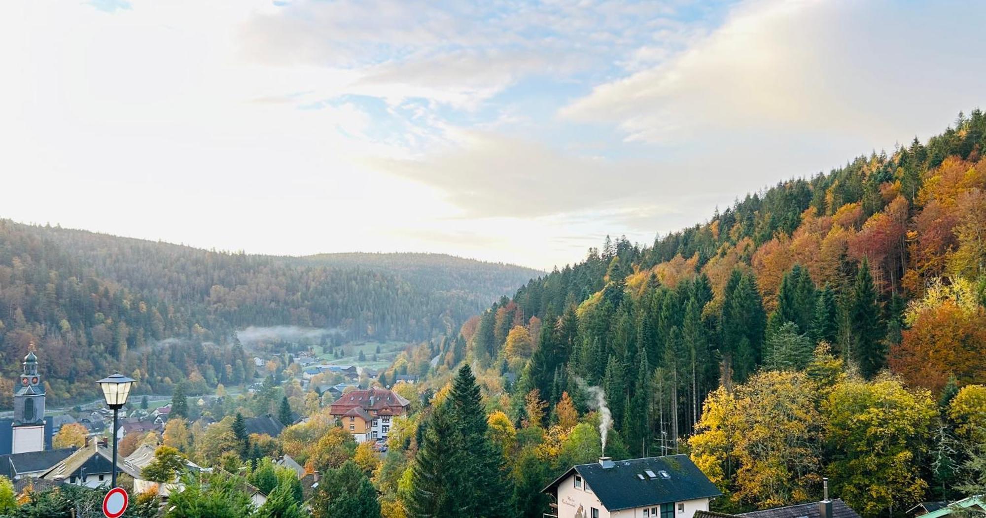 Ferienwohnung Panoramablick - Super Fuer Deine Familie Und Die Besten Aussicht In Ganz Todtmoos Luaran gambar