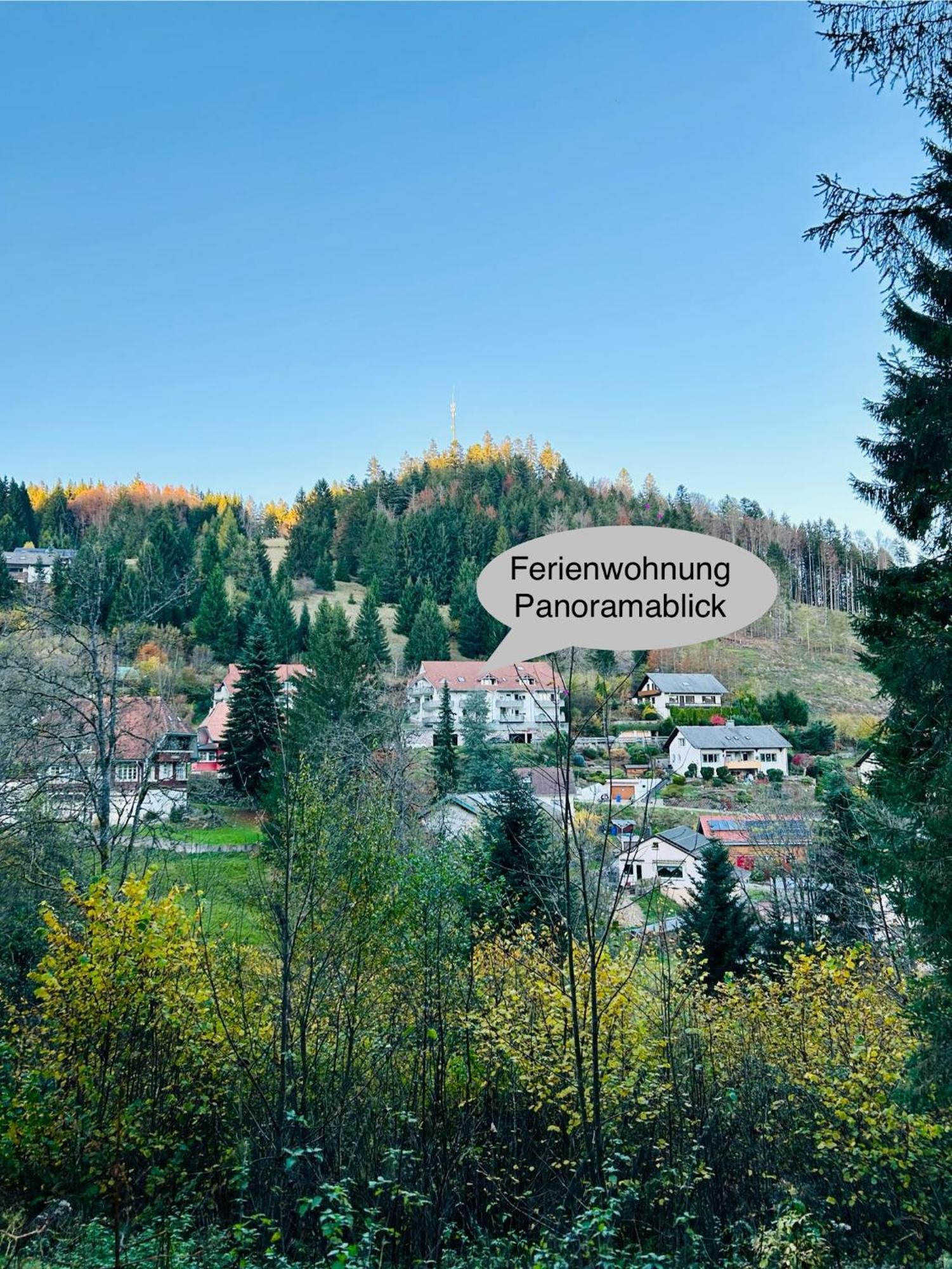 Ferienwohnung Panoramablick - Super Fuer Deine Familie Und Die Besten Aussicht In Ganz Todtmoos Luaran gambar