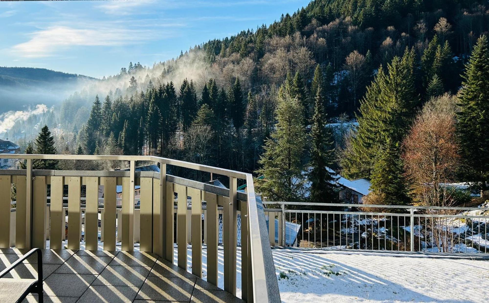 Ferienwohnung Panoramablick - Super Fuer Deine Familie Und Die Besten Aussicht In Ganz Todtmoos Luaran gambar